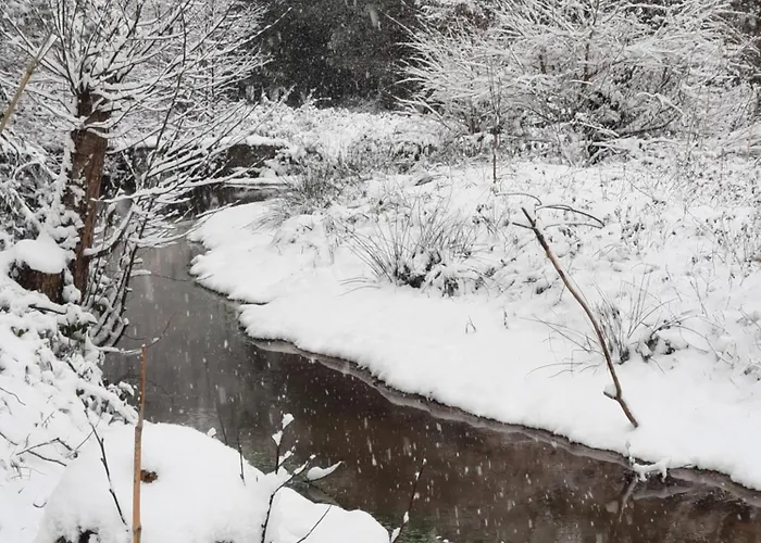 Chez Berthe Ferienhaus Pontfarcy